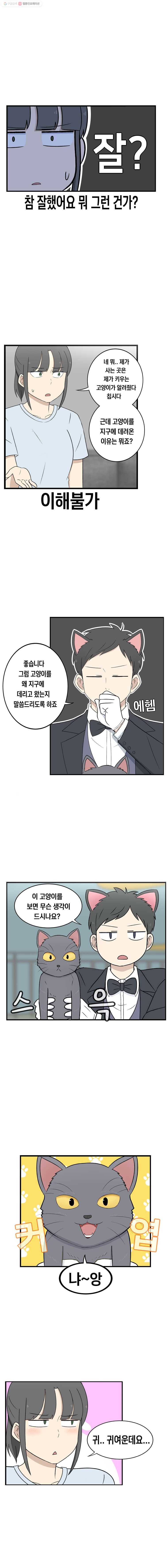 냥냐라냥냥 3.잘 부탁드립니다 4