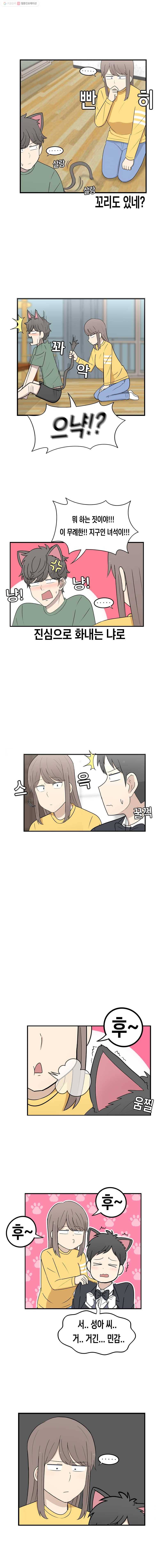 냥냐라냥냥 16.해결 4