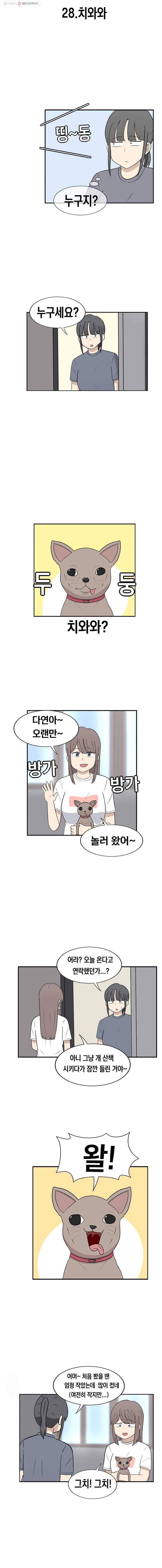 냥냐라냥냥 28.치와와 2