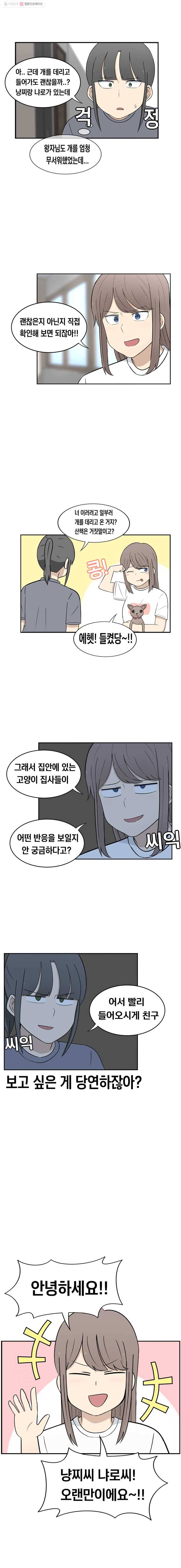 냥냐라냥냥 28.치와와 3