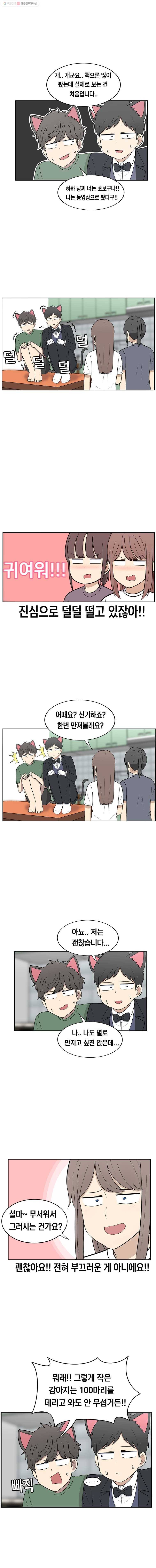 냥냐라냥냥 28.치와와 5