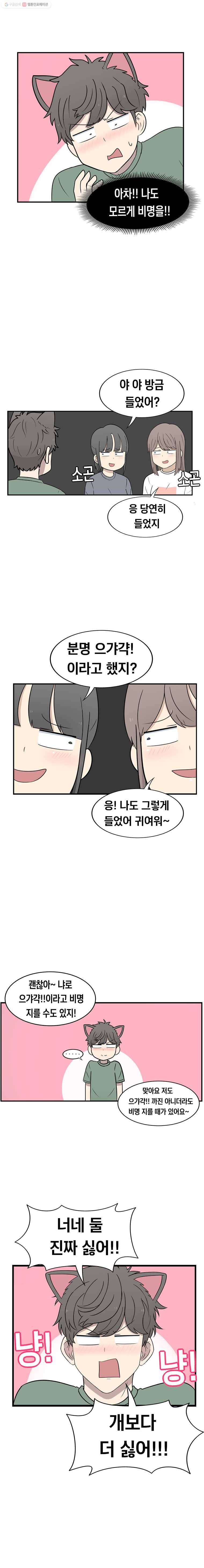 냥냐라냥냥 28.치와와 7