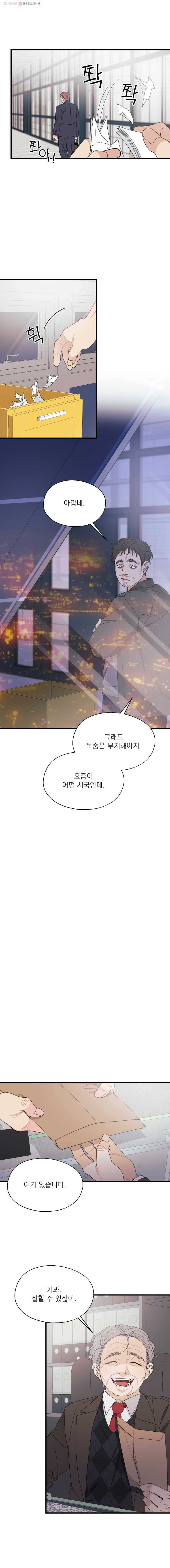 키스해주세요 74화 3