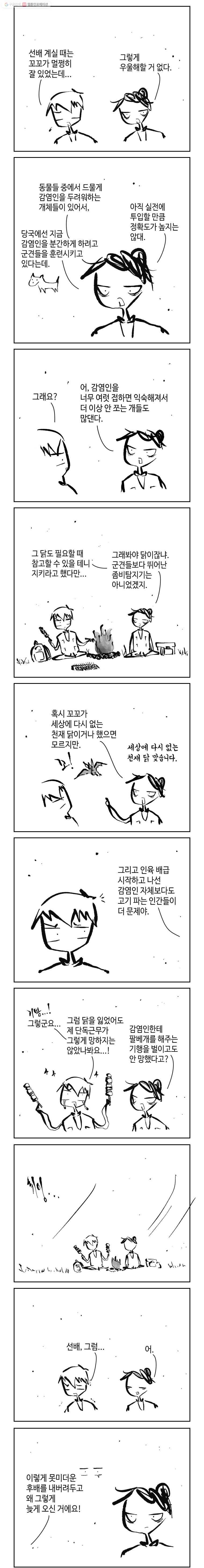닭은 의외로 위대하다 4.닭 도둑 8 4