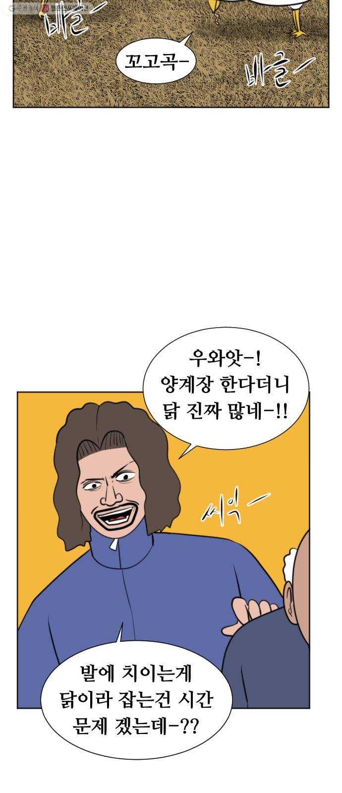 언덕 위의 제임스 268화 달려라 켄터키 (1) 14