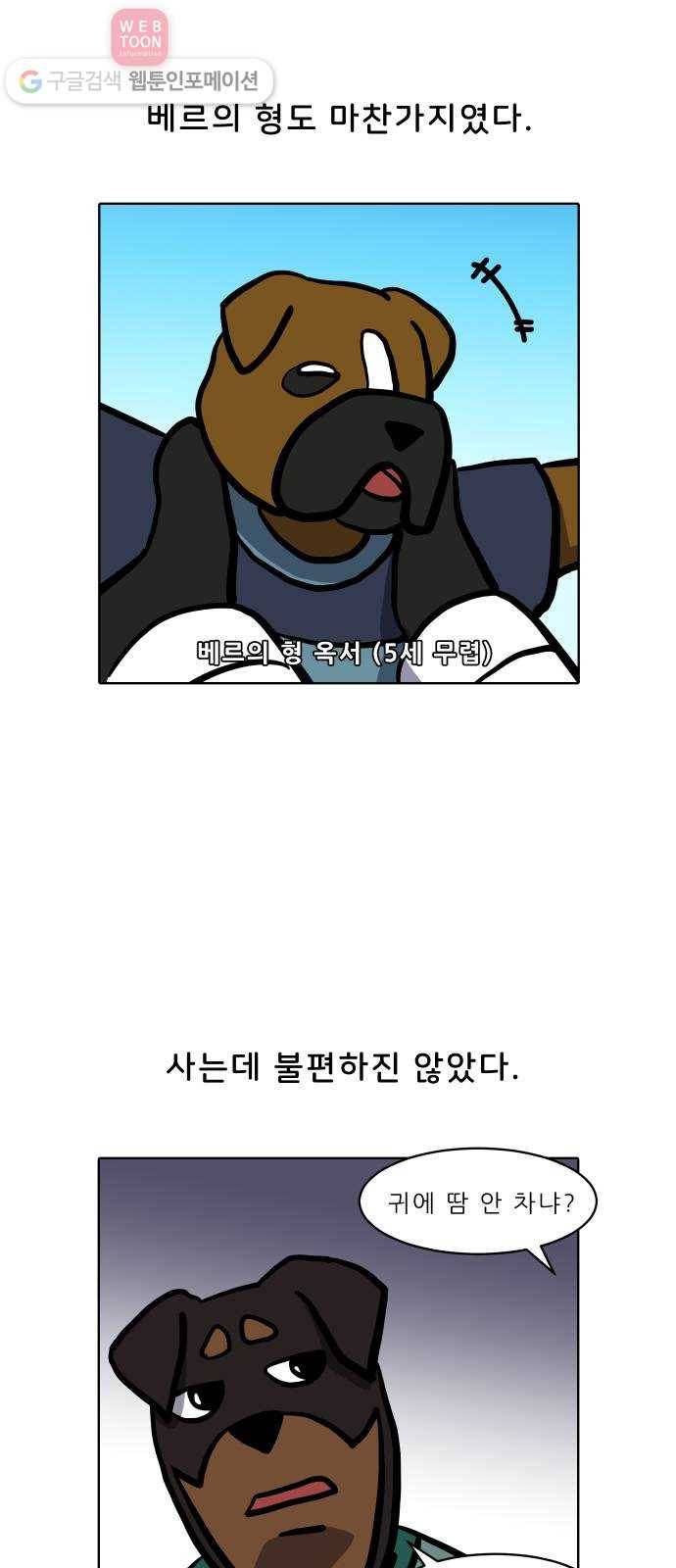 닥터앤닥터 육아일기 65. 단이와 단미 2 3