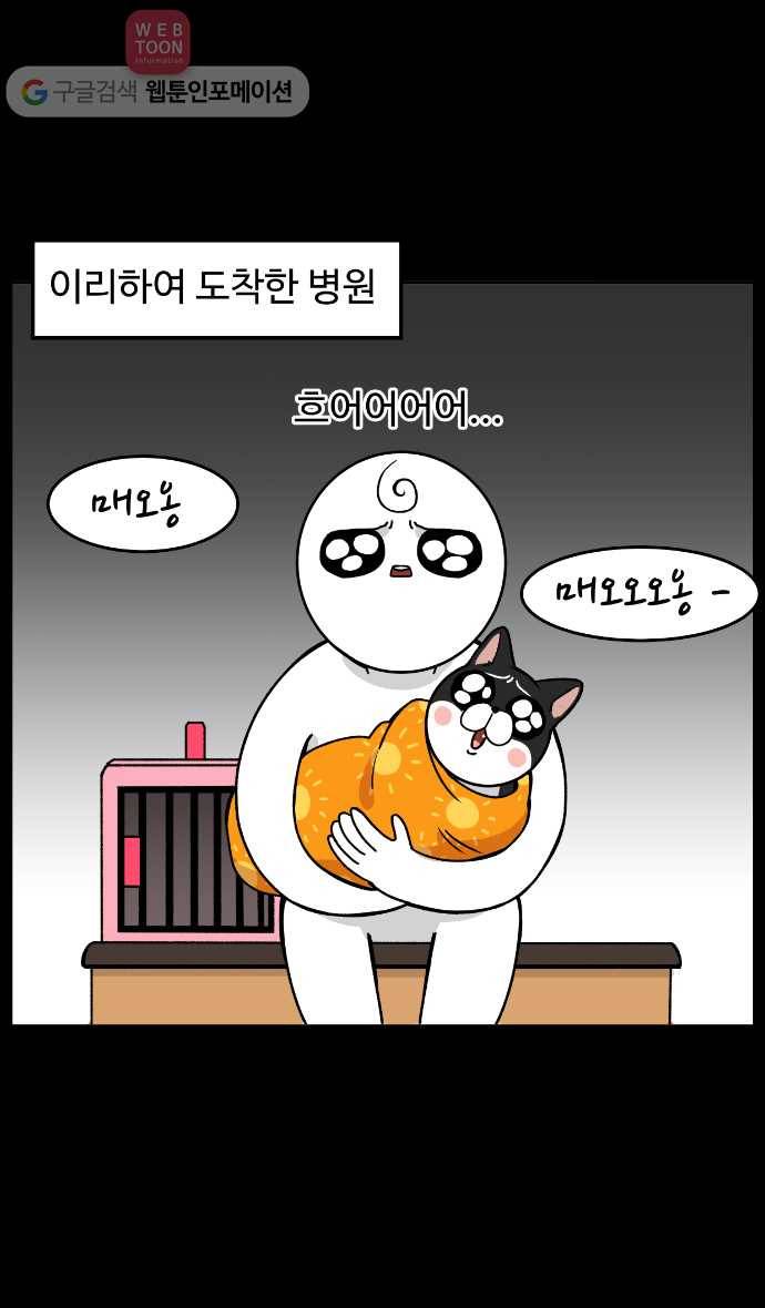 노곤하개 6화 매미가 병원에 갔다 3