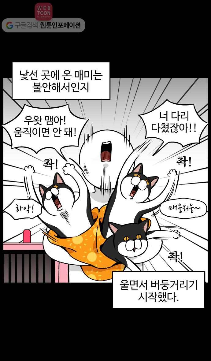 노곤하개 6화 매미가 병원에 갔다 4