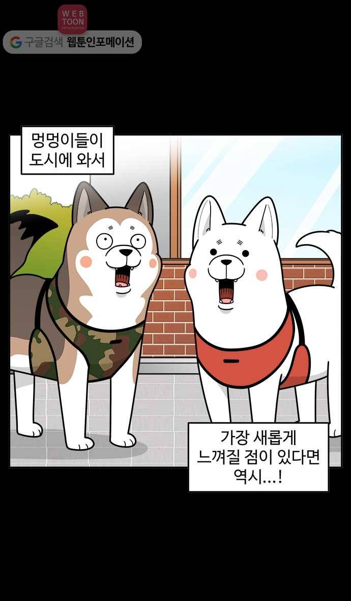 노곤하개 시즌2 6화 멍멍이와 도시개 2