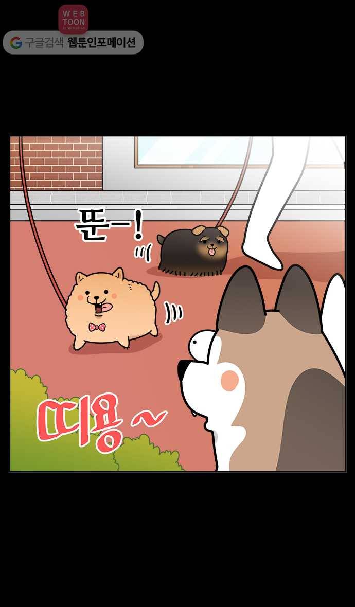 노곤하개 시즌2 6화 멍멍이와 도시개 3
