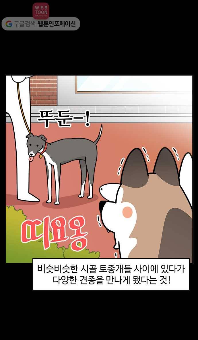 노곤하개 시즌2 6화 멍멍이와 도시개 4