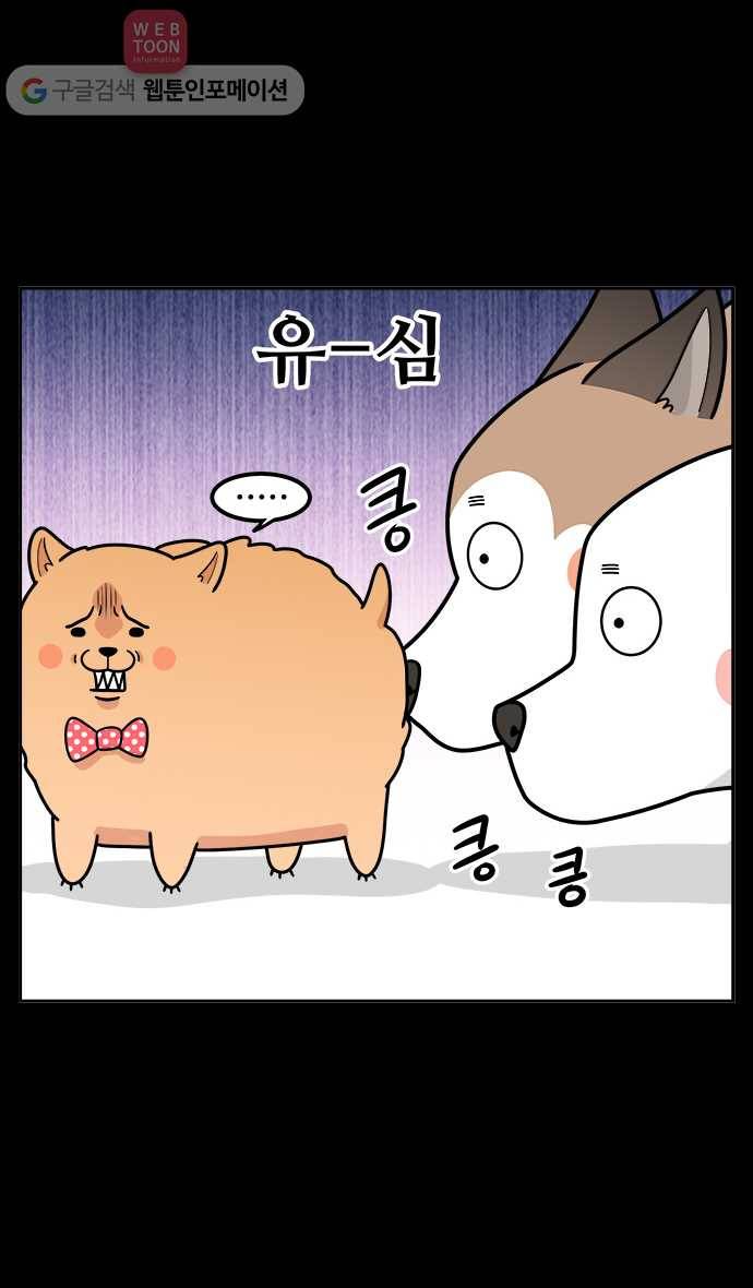 노곤하개 시즌2 6화 멍멍이와 도시개 5