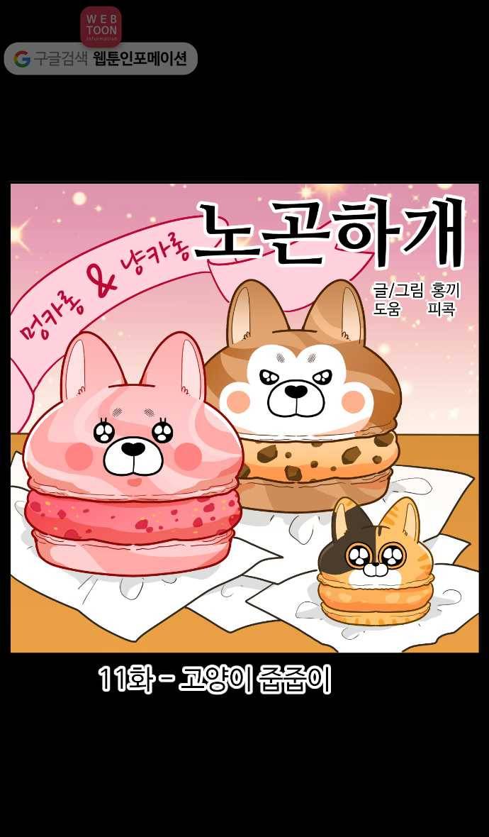 노곤하개 시즌2 11화 고양이 줍줍이 1