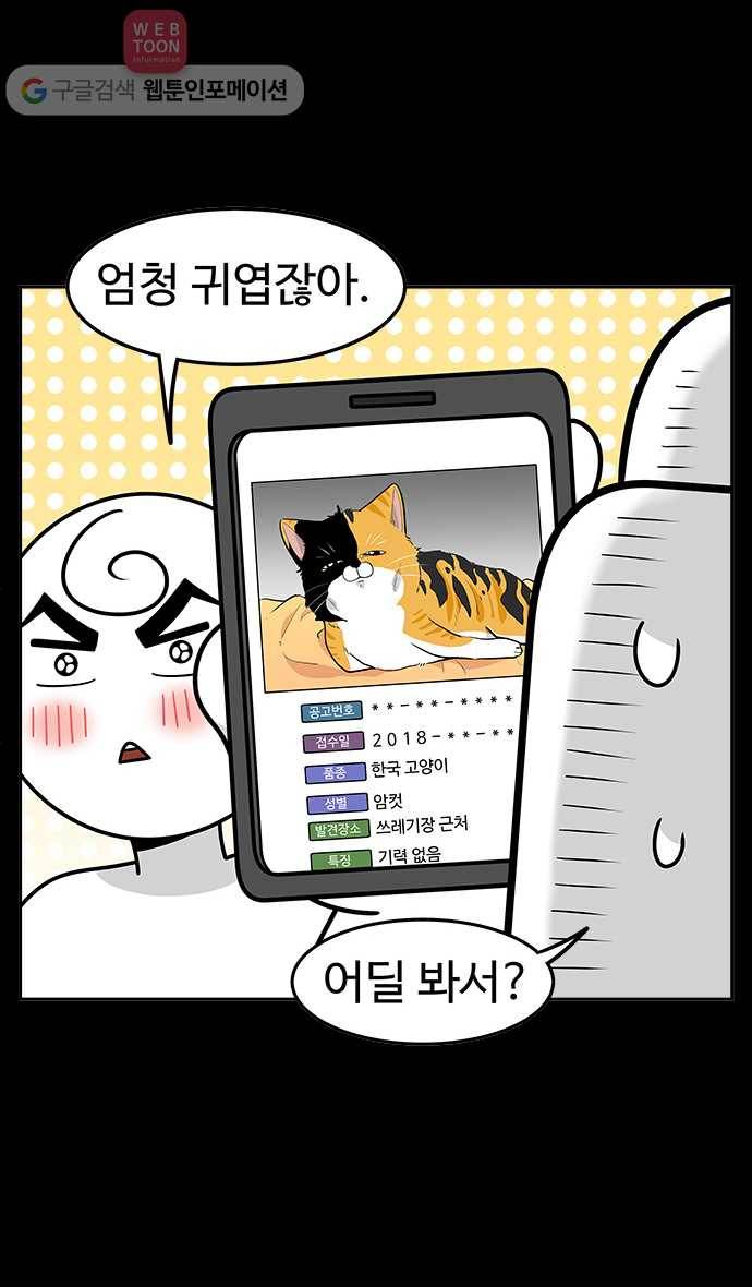 노곤하개 시즌2 11화 고양이 줍줍이 5