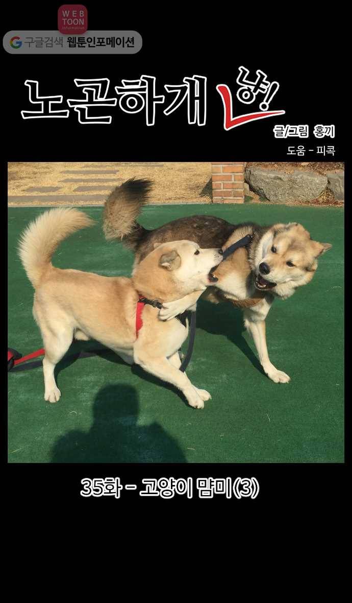 노곤하개 시즌2 35화 고양이 먐미 (3) 1