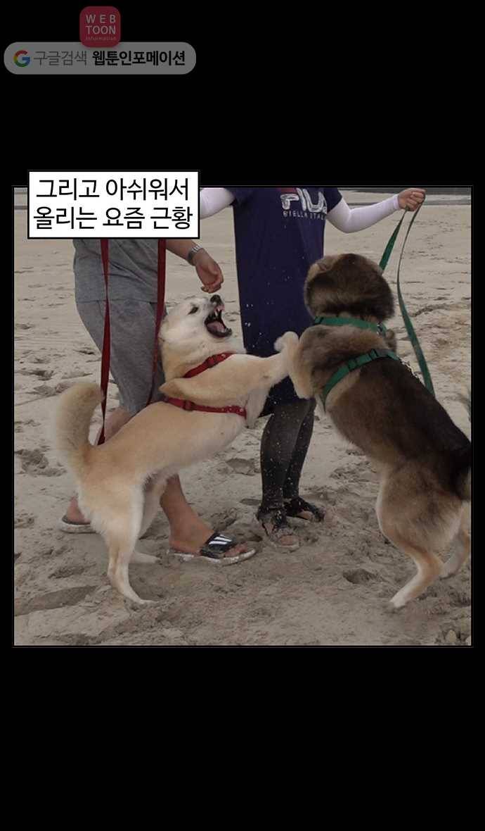 노곤하개 시즌2 후기 24