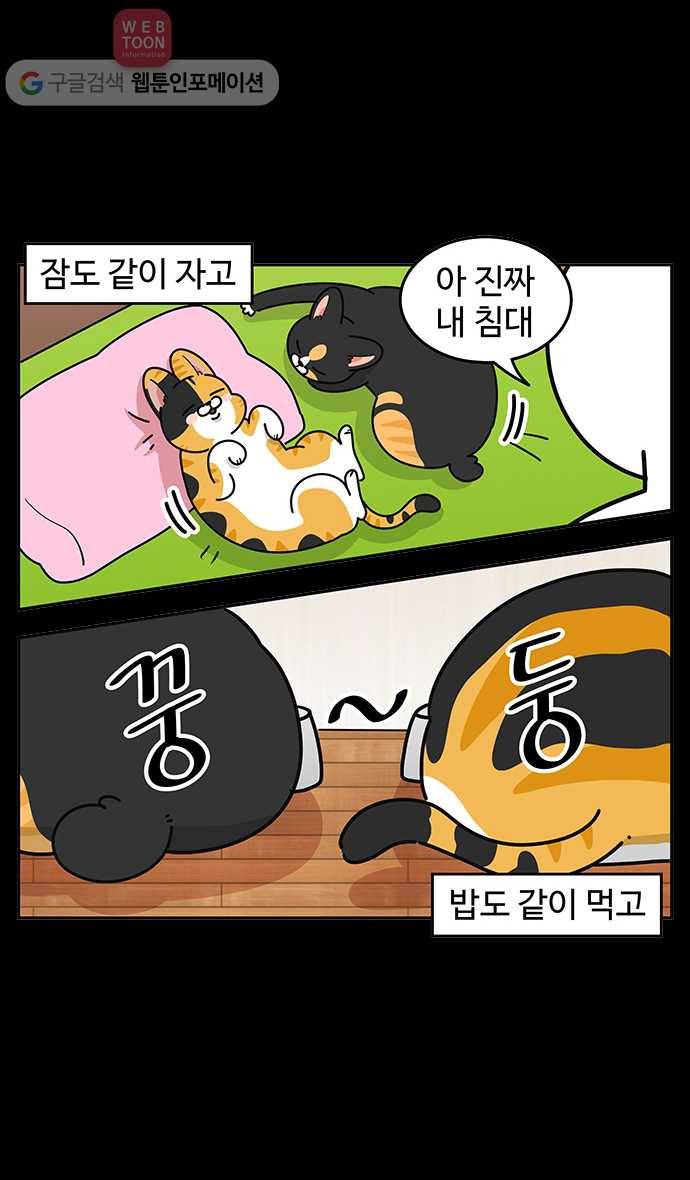 노곤하개 시즌3 19화 장거리 연애 5
