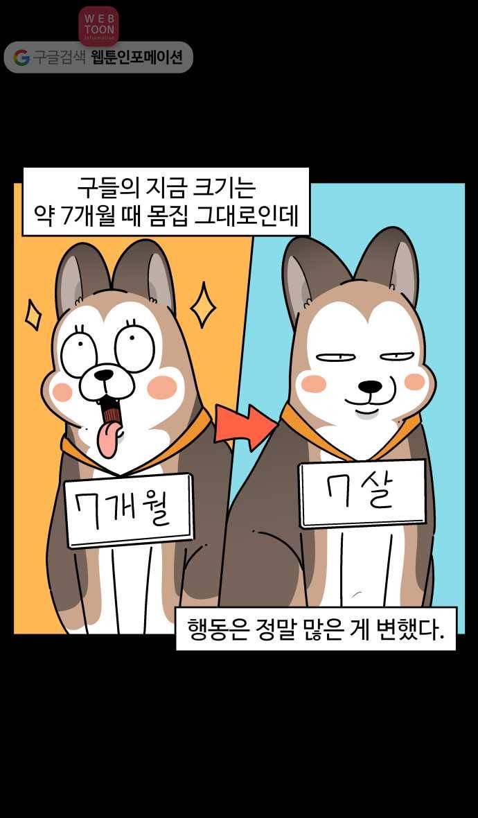 노곤하개 시즌3 39화 2020년의 멍멍이 3