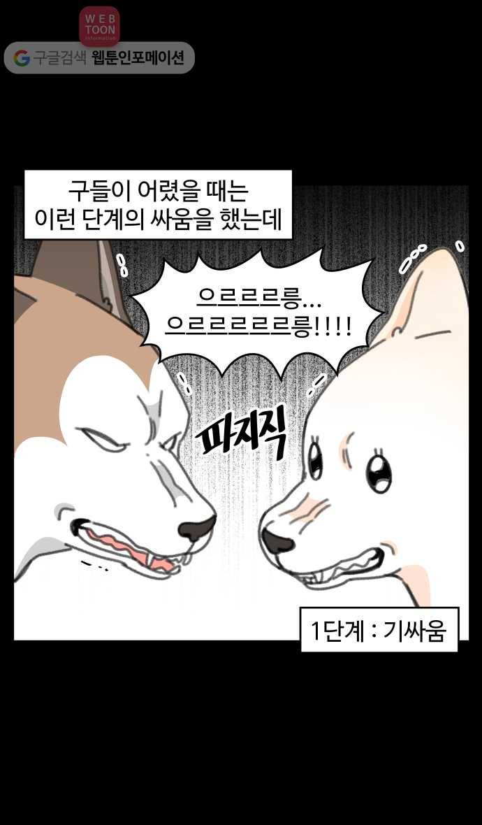 노곤하개 시즌3 39화 2020년의 멍멍이 4