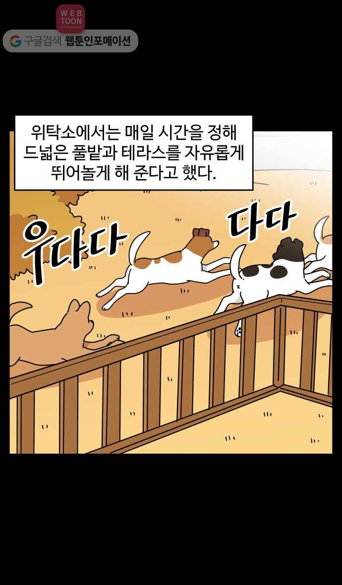 노곤하개 시즌3 49화 꼬막맹이 입양 (2) 4