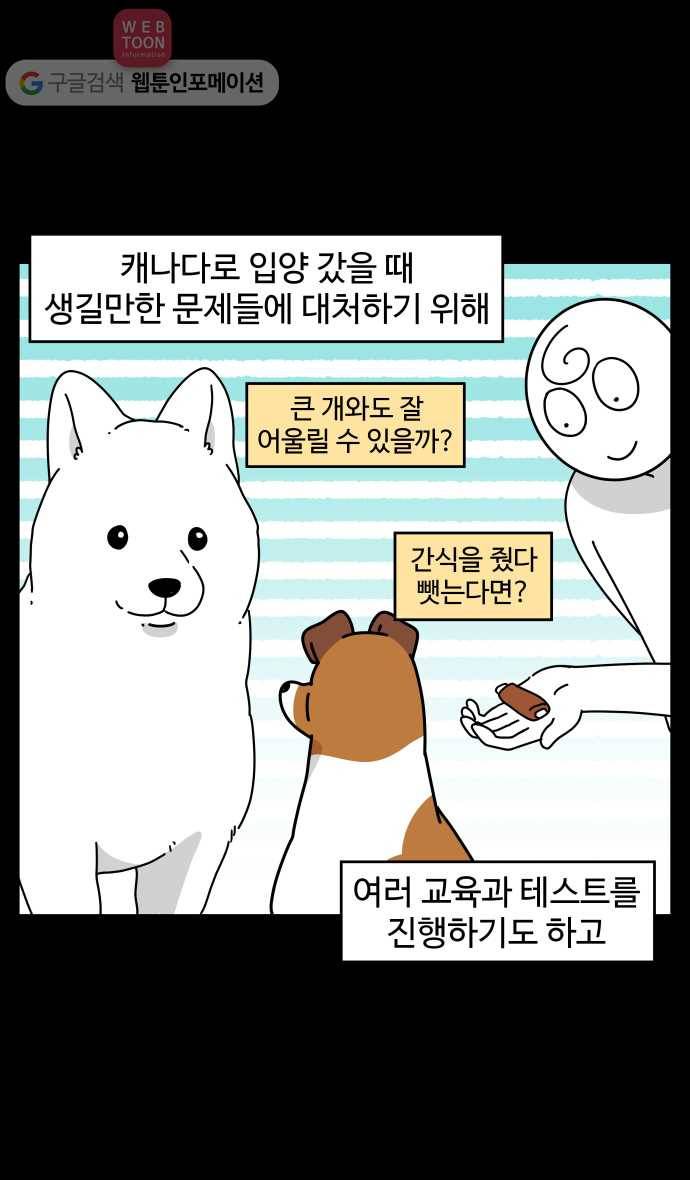 노곤하개 시즌3 49화 꼬막맹이 입양 (2) 5
