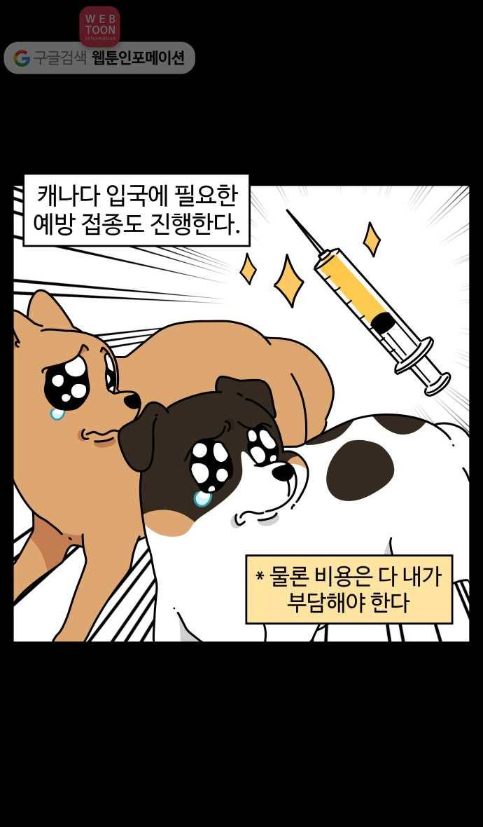 노곤하개 시즌3 49화 꼬막맹이 입양 (2) 6
