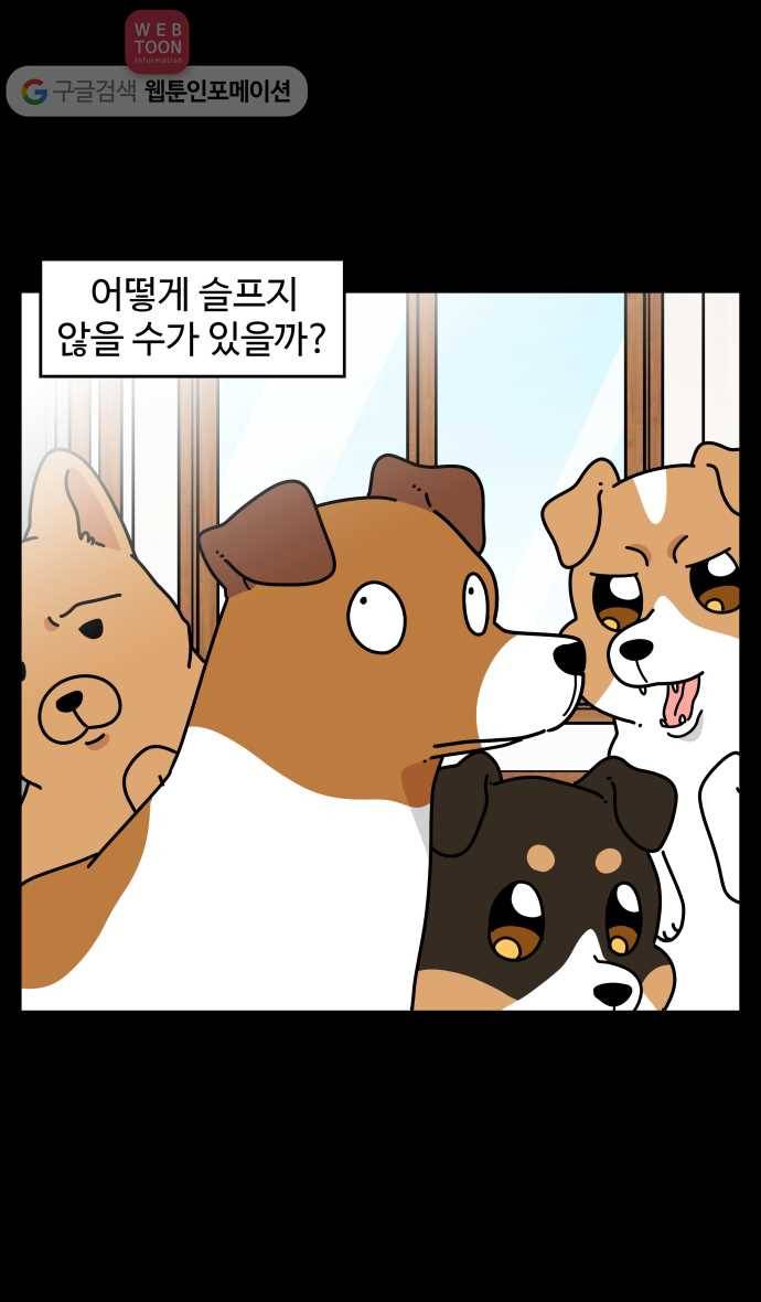 노곤하개 시즌3 49화 꼬막맹이 입양 (2) 8
