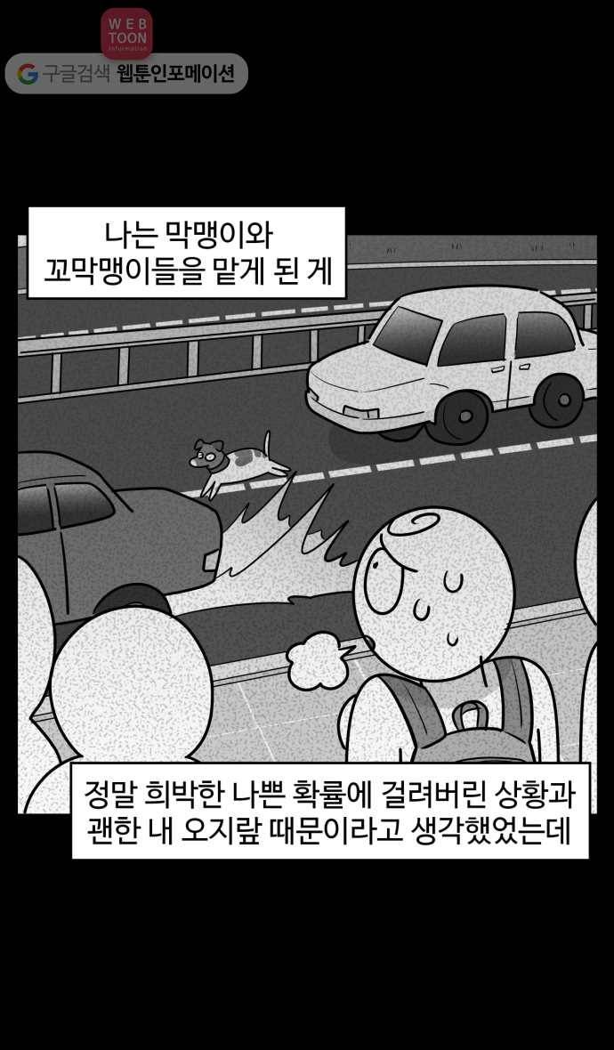 노곤하개 시즌3 49화 꼬막맹이 입양 (2) 11