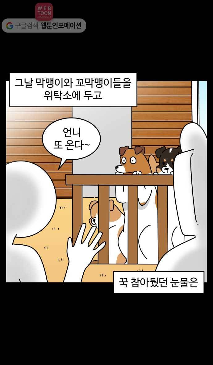 노곤하개 시즌3 49화 꼬막맹이 입양 (2) 21