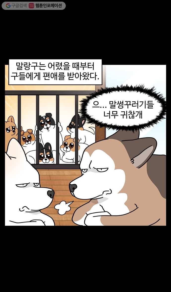 노곤하개 시즌4 7화 동생이 생겼다 (1) 2