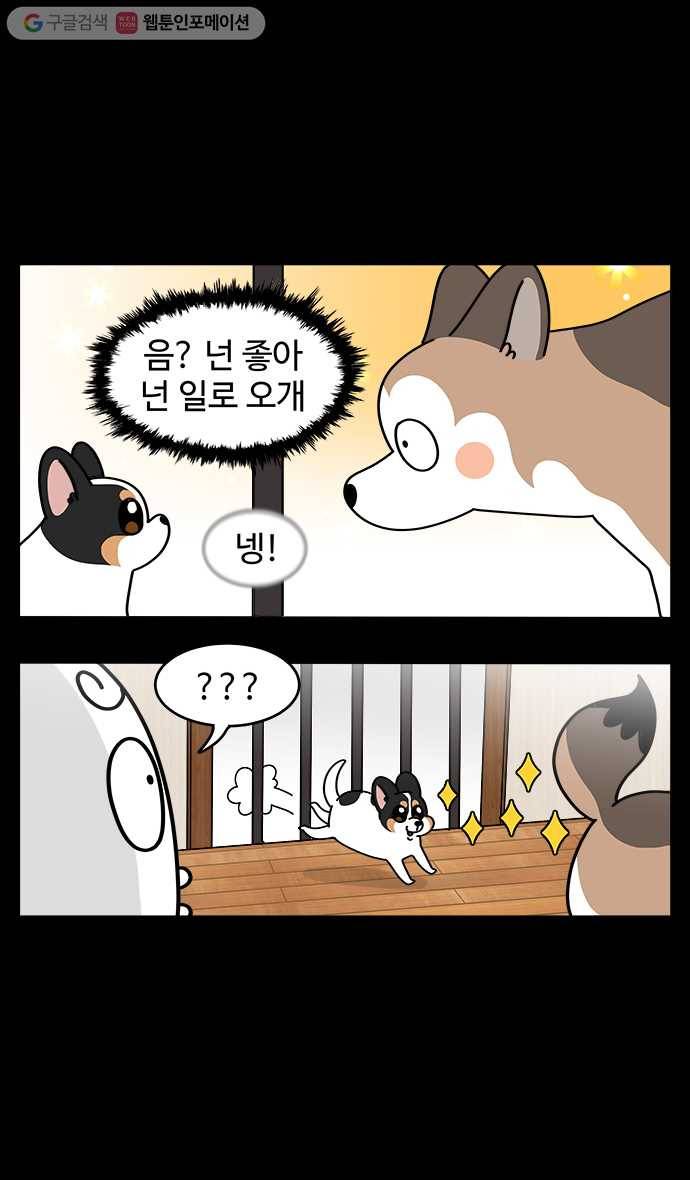 노곤하개 시즌4 7화 동생이 생겼다 (1) 3
