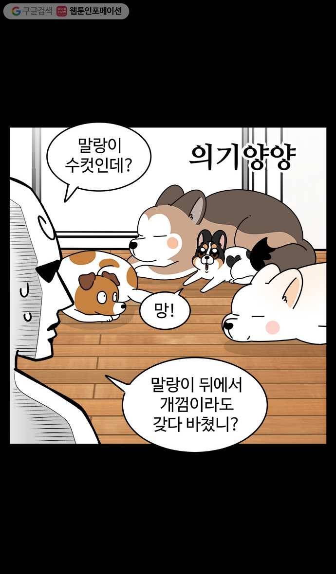 노곤하개 시즌4 7화 동생이 생겼다 (1) 4