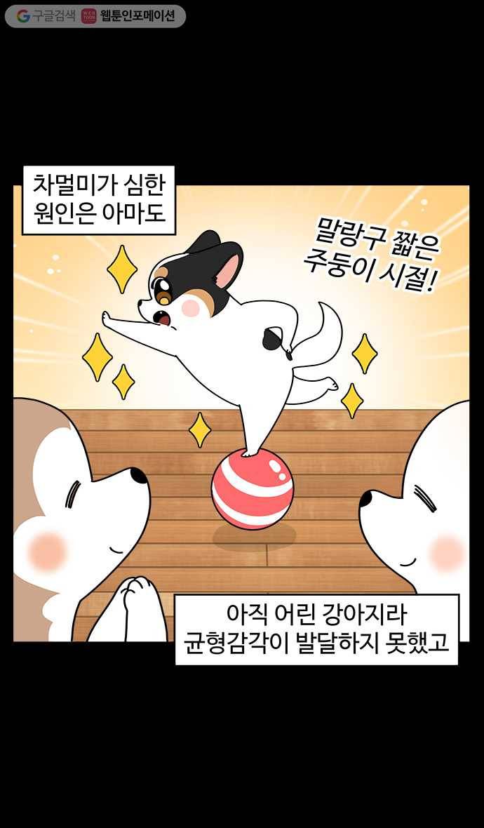 노곤하개 시즌4 14화 구들과 자동차 (1) 3