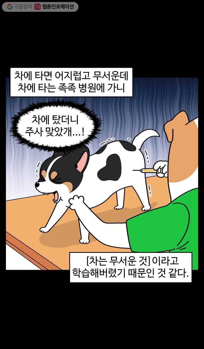 노곤하개 시즌4 14화 구들과 자동차 (1) 4