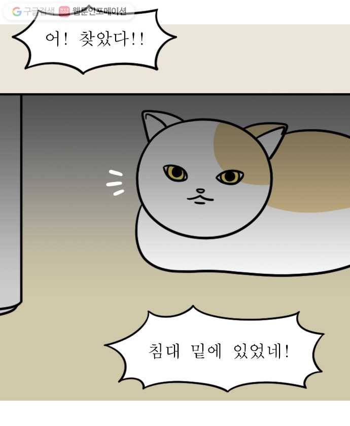 독립일기 22화 고양이가 있는 집 6