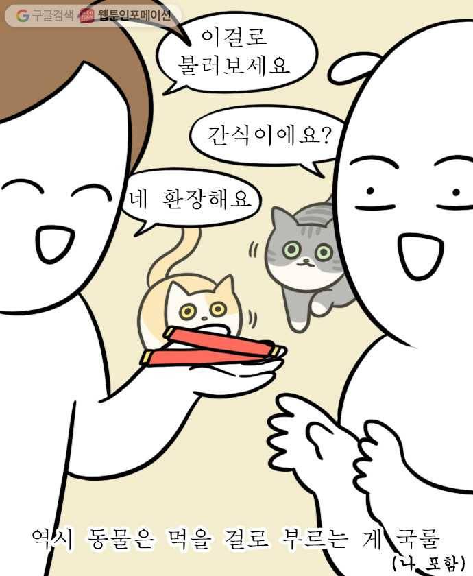 독립일기 22화 고양이가 있는 집 8