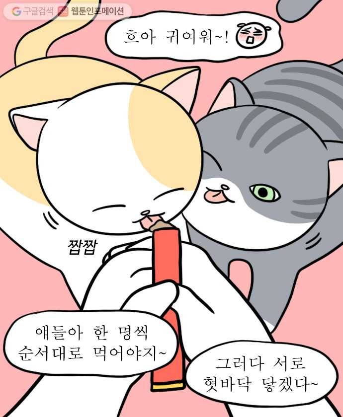 독립일기 22화 고양이가 있는 집 9