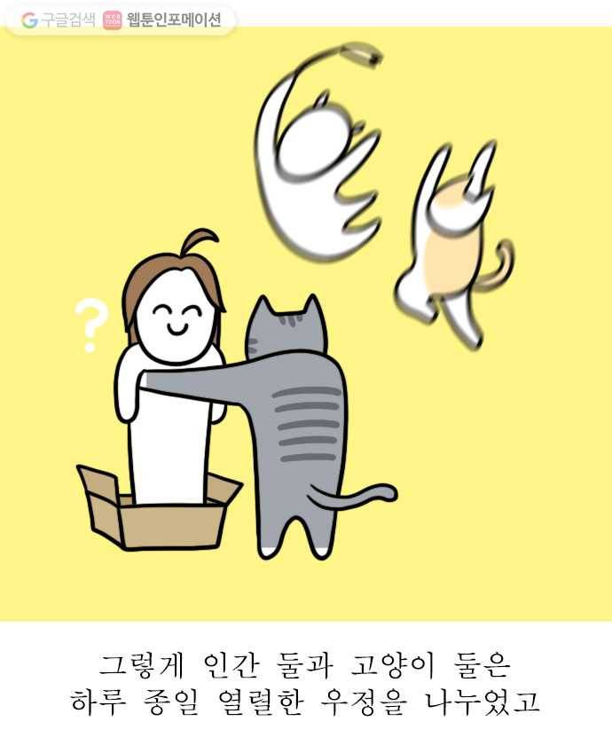 독립일기 22화 고양이가 있는 집 14