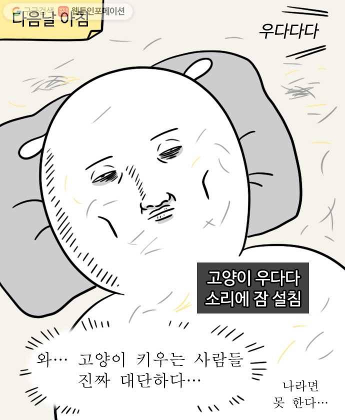 독립일기 22화 고양이가 있는 집 16