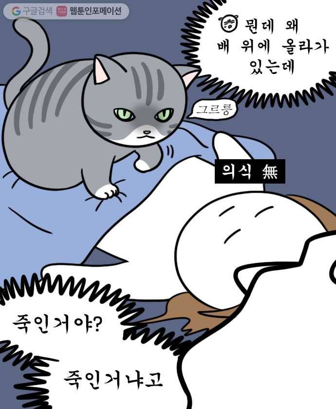 독립일기 22화 고양이가 있는 집 18