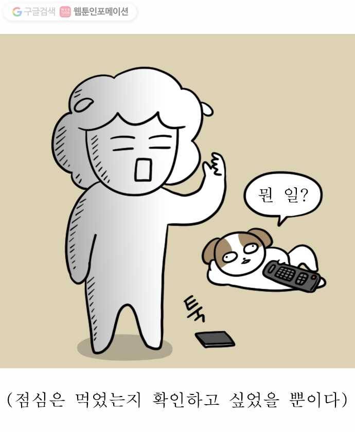 독립일기 48화 응급실 실려가서 수술받은 썰 푼다 (2) 12