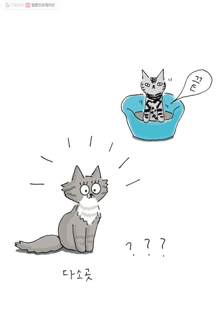 은동은동+옹동스 14화. 응가 서열 5