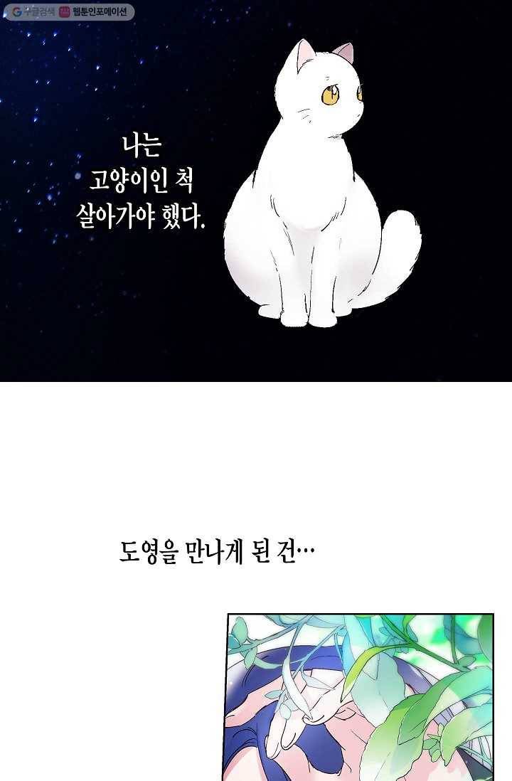 애월의 꿈 41화 5
