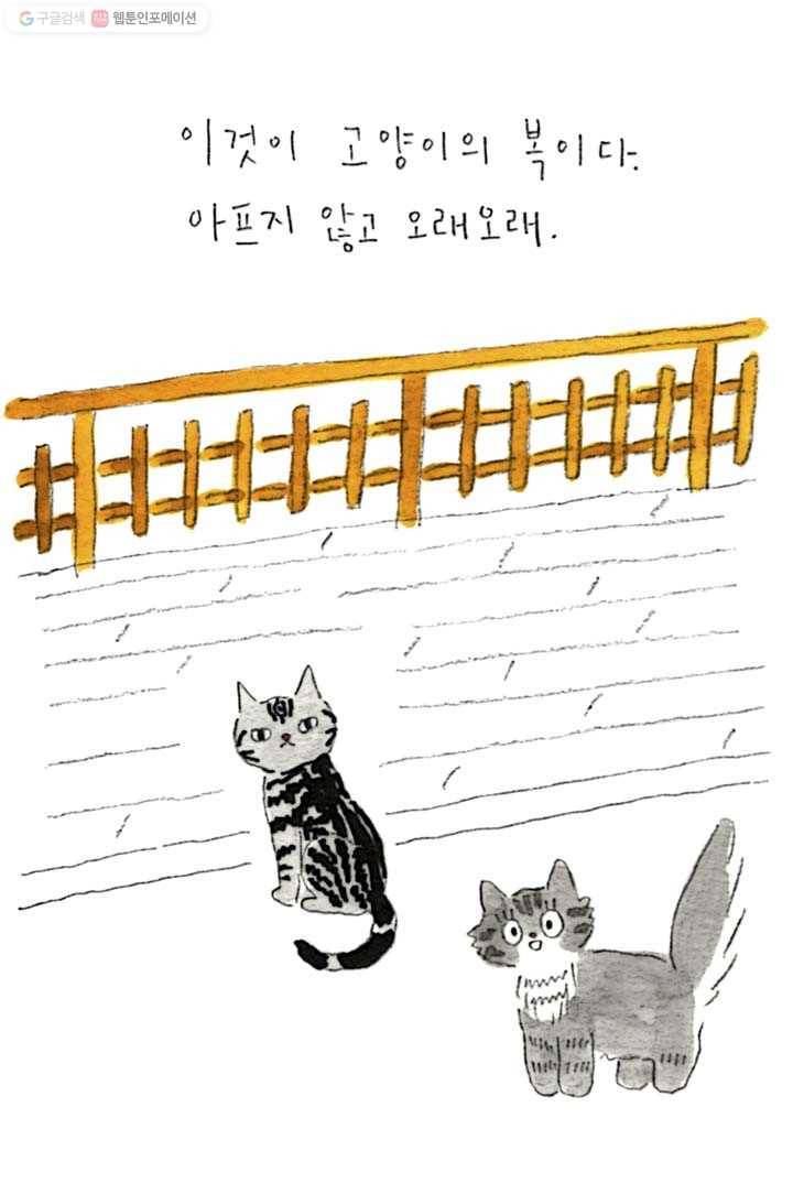 은동은동+옹동스 79화. 고양이의 복 6