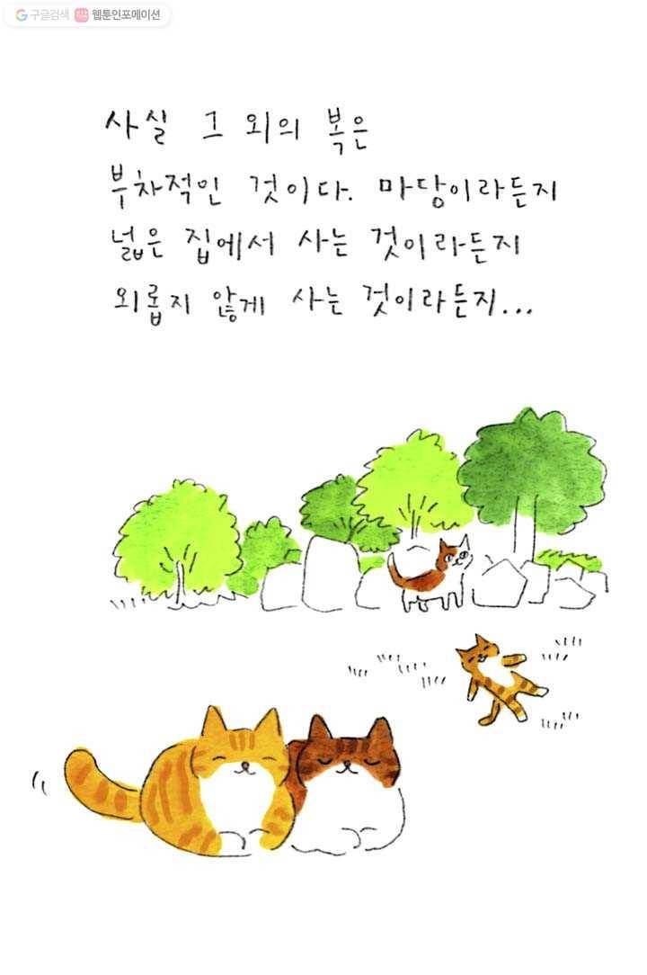 은동은동+옹동스 79화. 고양이의 복 7