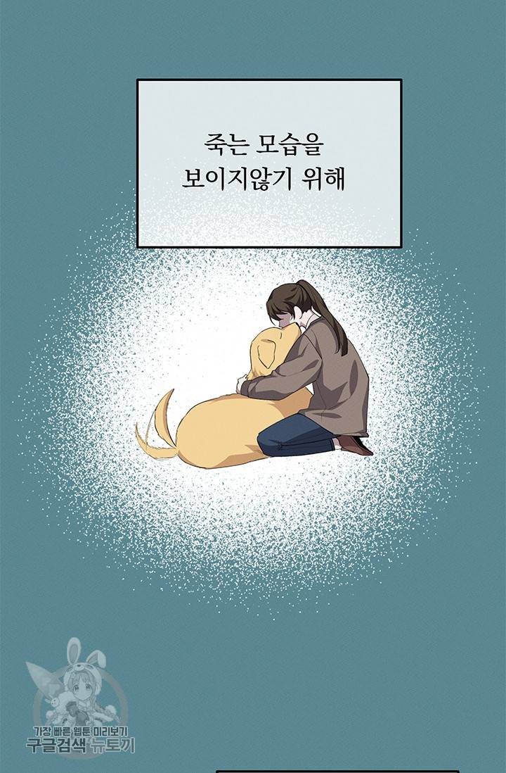 답장을 주세요, 왕자님 18화 2