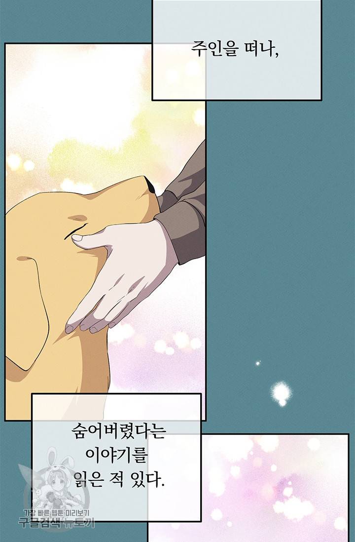 답장을 주세요, 왕자님 18화 3