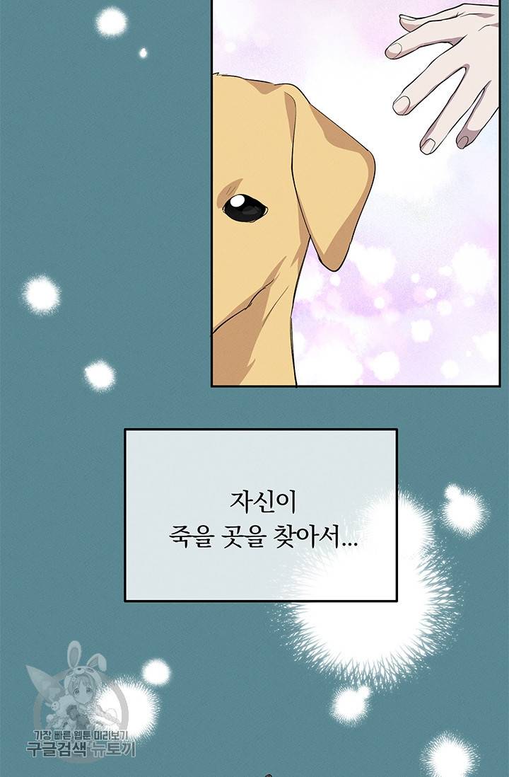 답장을 주세요, 왕자님 18화 4