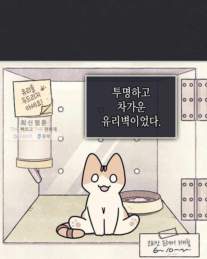 지구의 주인은 고양이다 193화 5