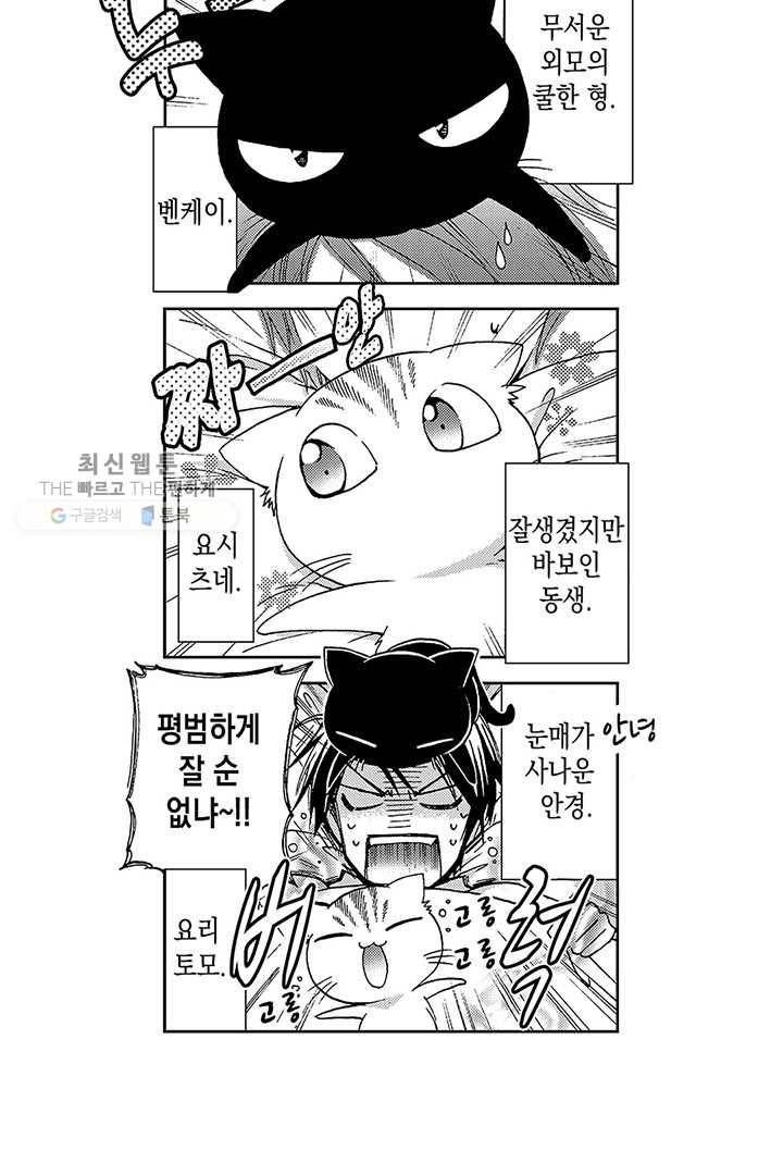 아시야 씨네 고양이 4화 4
